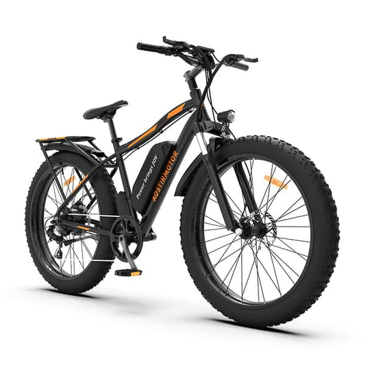 Fat Tire Electric Bike