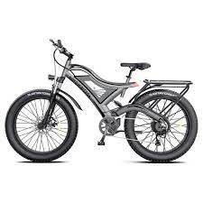 Fat Tire Electric Bike